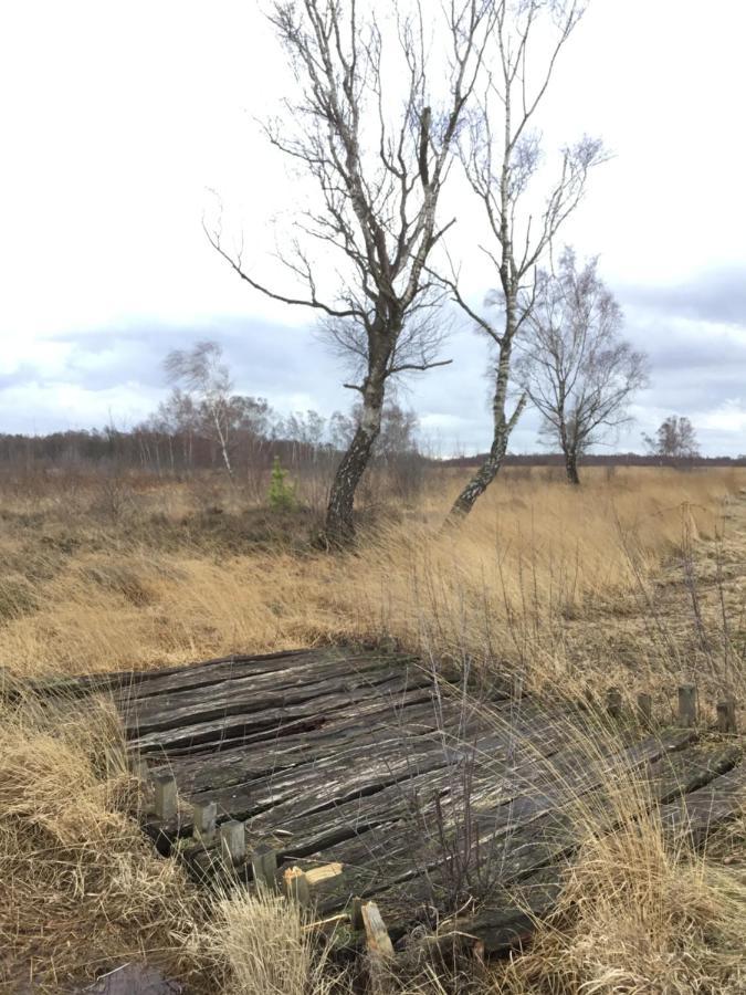 Kranich-Holzferienhaus 'Kleine Auszeit' Rehden Eksteriør billede