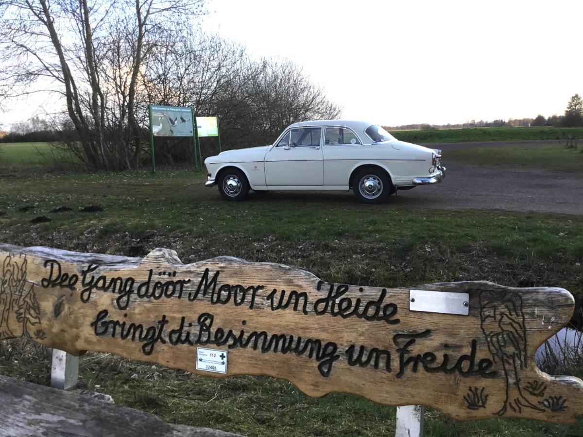 Kranich-Holzferienhaus 'Kleine Auszeit' Rehden Eksteriør billede